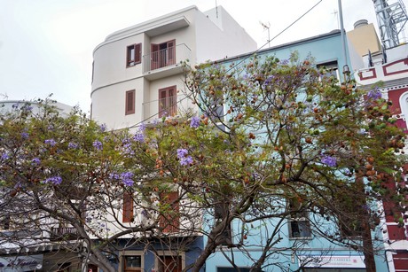 Las Palmas de Gran Canaria